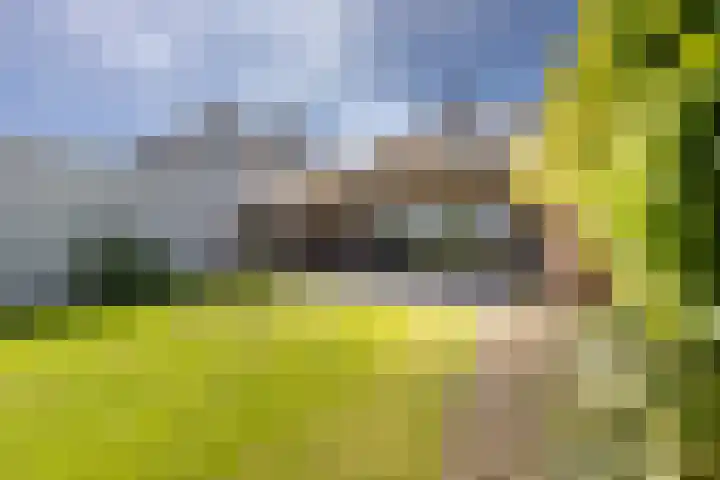 van Hemessenkade 51 Woubrugge thumbnail 35