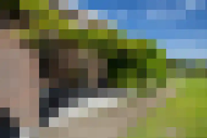 van Hemessenkade 51 Woubrugge thumbnail 36