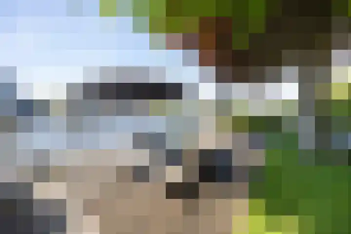 van Hemessenkade 51 Woubrugge thumbnail 39