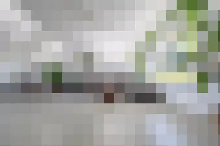 van Hemessenkade 51 Woubrugge thumbnail 4