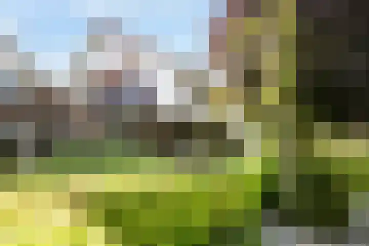 van Hemessenkade 51 Woubrugge thumbnail 45