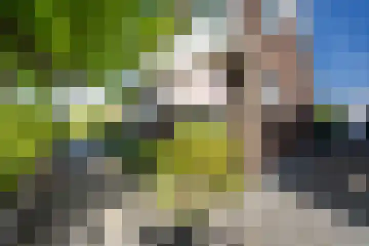van Hemessenkade 51 Woubrugge thumbnail 47