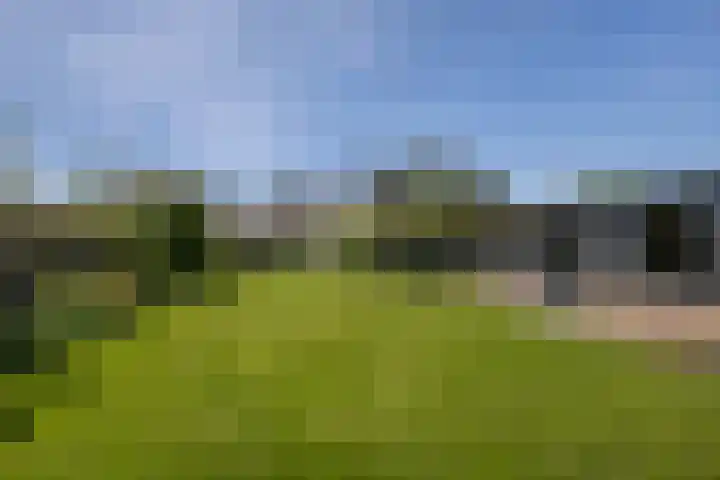 van Hemessenkade 51 Woubrugge thumbnail 55