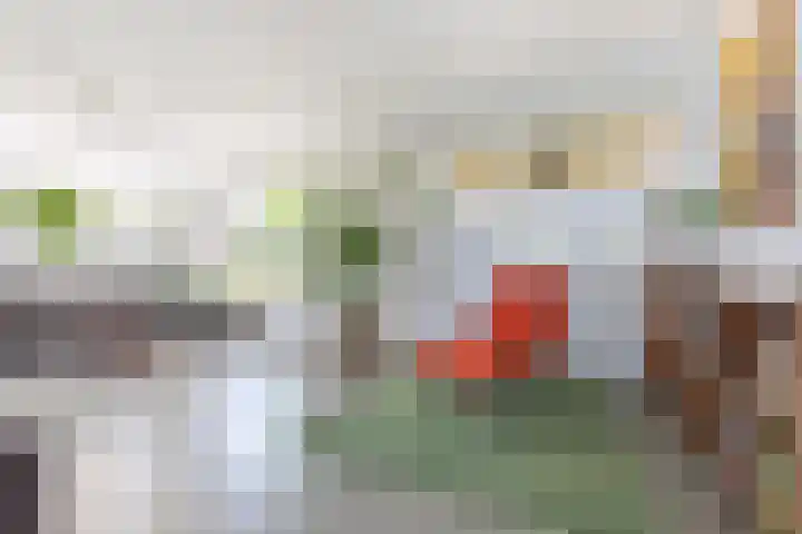 van Hemessenkade 51 Woubrugge thumbnail 9