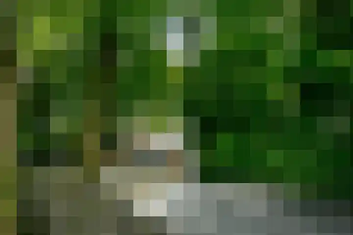 Van Hengellaan 16 Hilversum thumbnail 10