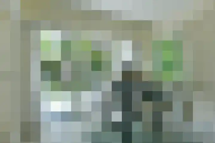 Van Hengellaan 16 Hilversum thumbnail 14
