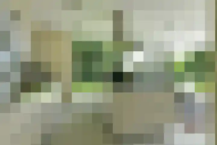 Van Hengellaan 16 Hilversum thumbnail 18