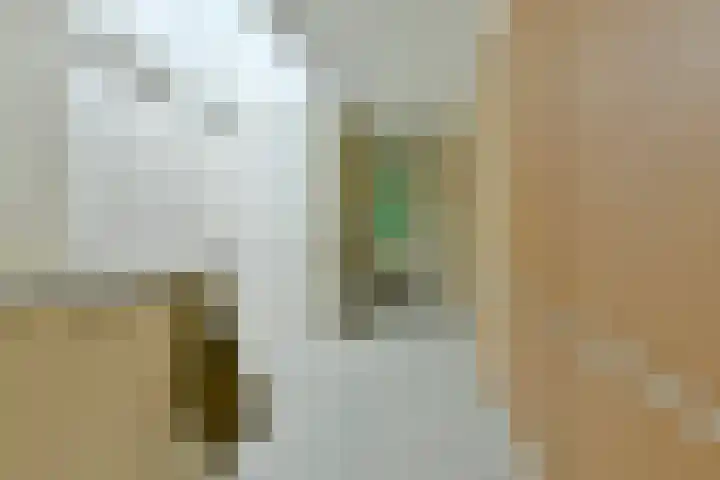 Van Hengellaan 16 Hilversum thumbnail 25