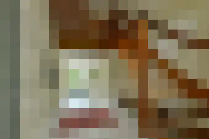 Van Hengellaan 16 Hilversum thumbnail 31