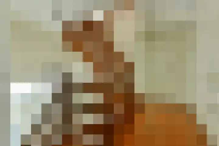 Van Hengellaan 16 Hilversum thumbnail 32