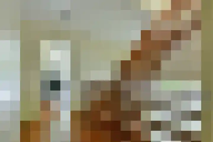 Van Hengellaan 16 Hilversum thumbnail 33