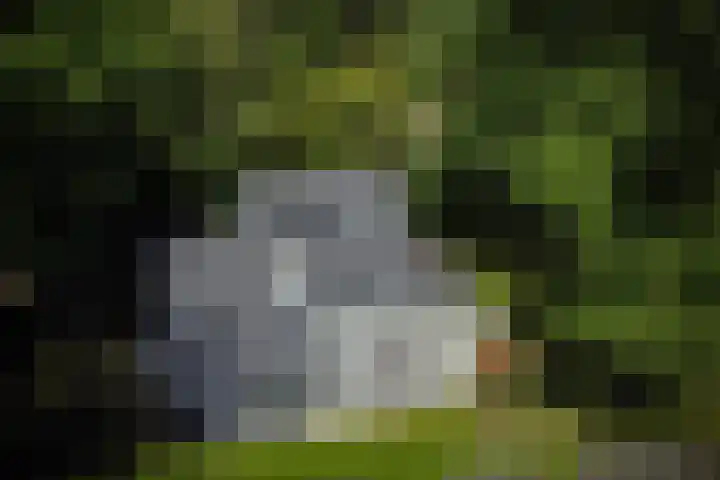 Van Hengellaan 16 Hilversum thumbnail 4