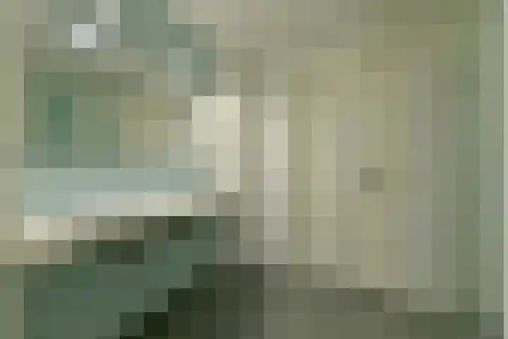 Van Hengellaan 16 Hilversum thumbnail 40