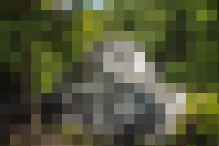 Van Hengellaan 16 Hilversum thumbnail 46