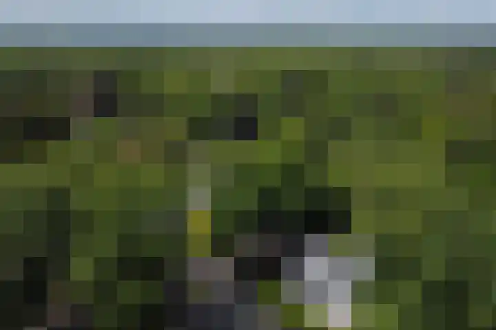 Van Hengellaan 16 Hilversum thumbnail 47