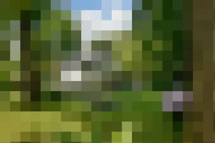 Van Hengellaan 16 Hilversum thumbnail 5