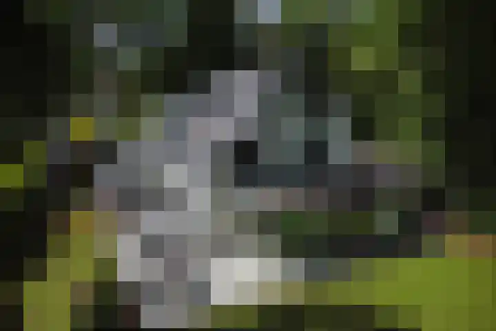 Van Hengellaan 16 Hilversum thumbnail 52