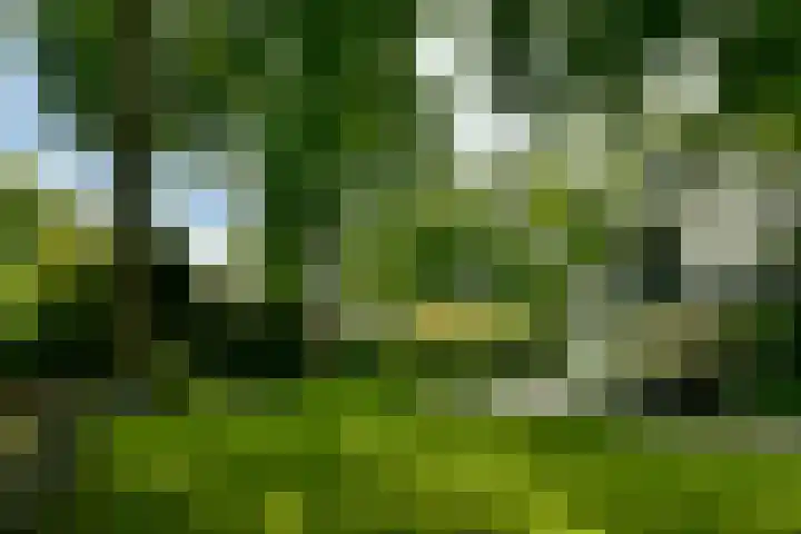 Van Hengellaan 16 Hilversum thumbnail 6
