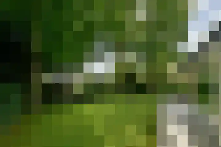 Van Hengellaan 16 Hilversum thumbnail 7