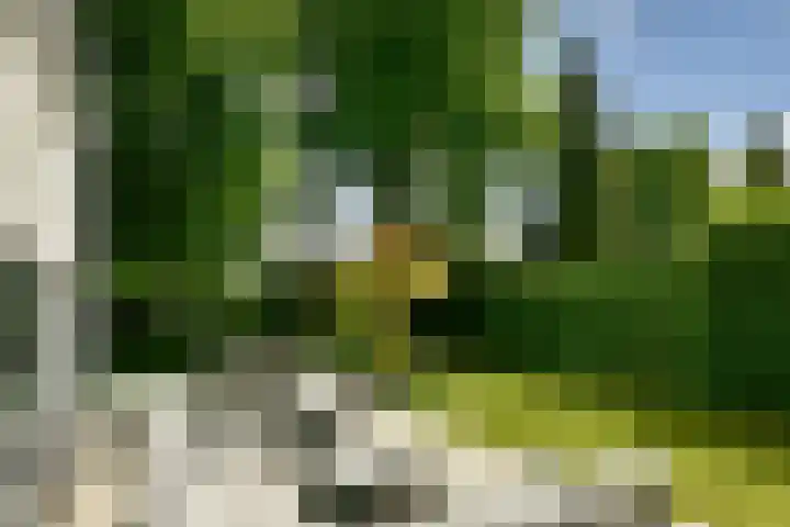 Van Hengellaan 16 Hilversum thumbnail 8