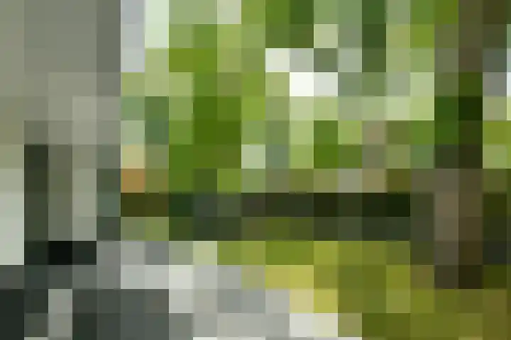 Van Hengellaan 16 Hilversum thumbnail 9