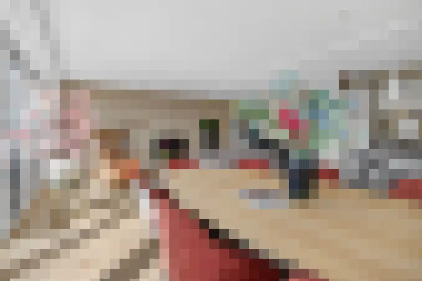 van Herlaerhof 51 Valkenswaard thumbnail 17