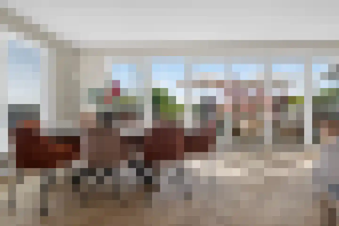 van Herlaerhof 51 Valkenswaard thumbnail 18