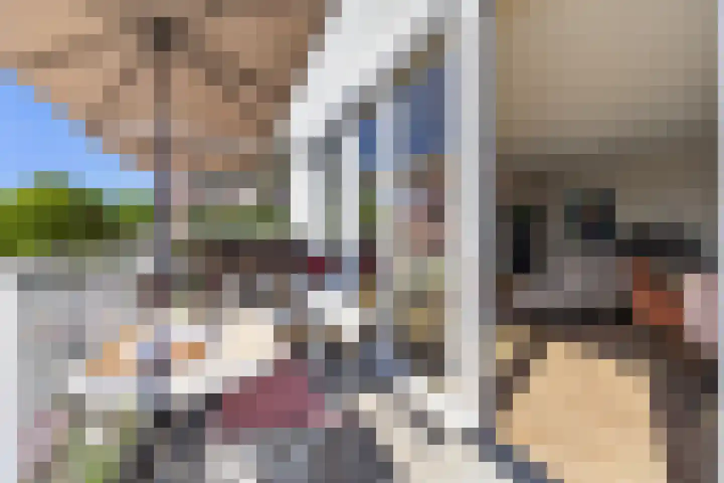 van Herlaerhof 51 Valkenswaard thumbnail 37