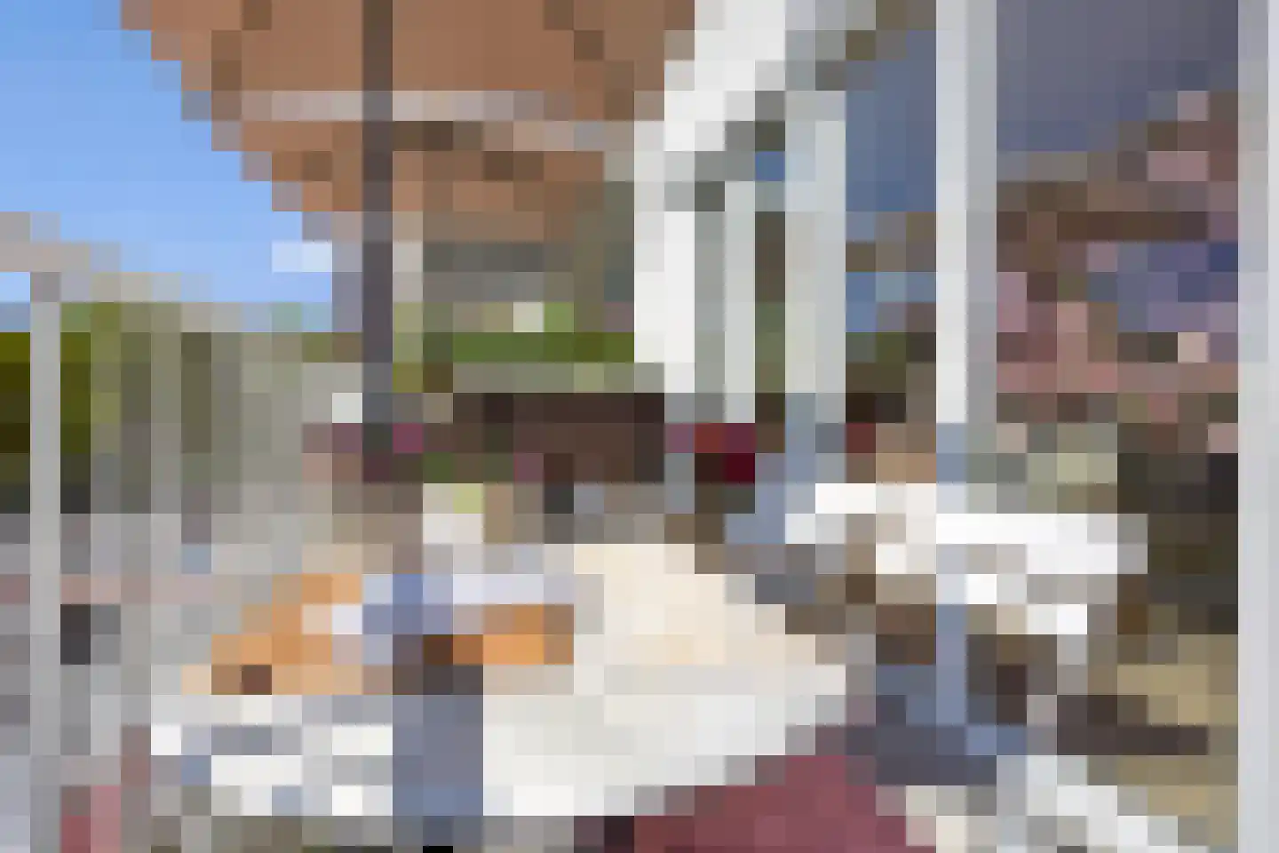 van Herlaerhof 51 Valkenswaard thumbnail 38