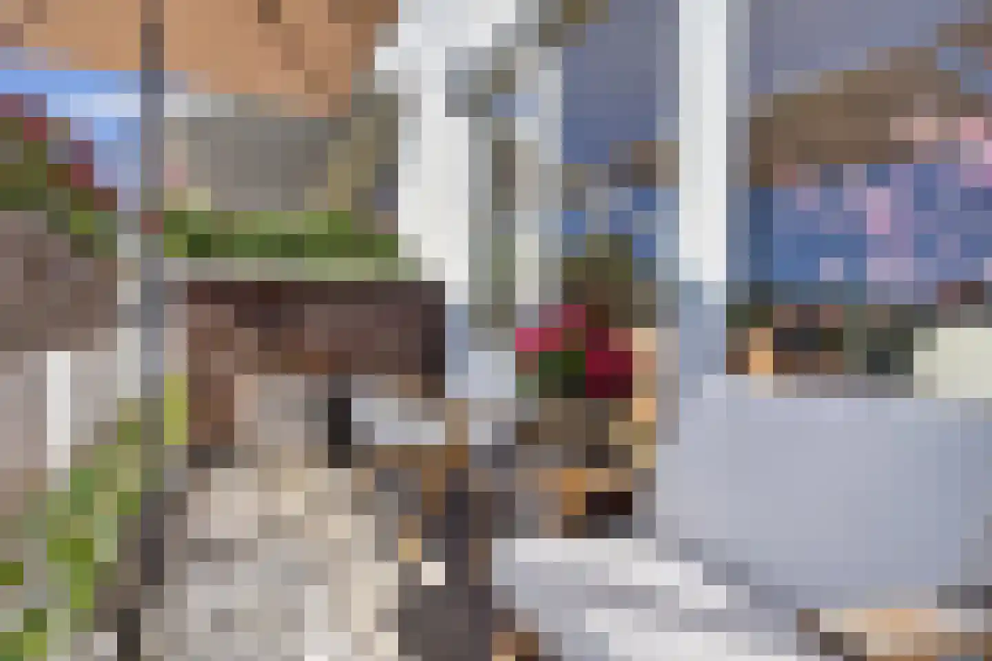 van Herlaerhof 51 Valkenswaard thumbnail 39