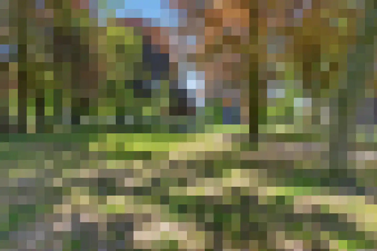 van Herlaerhof 51 Valkenswaard thumbnail 49