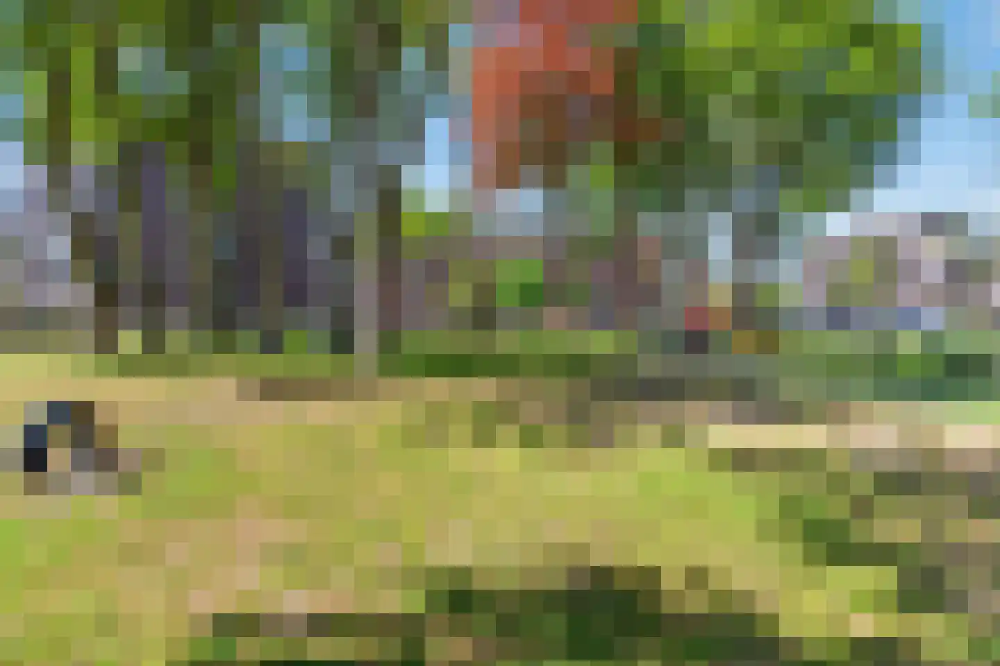 van Herlaerhof 51 Valkenswaard thumbnail 51