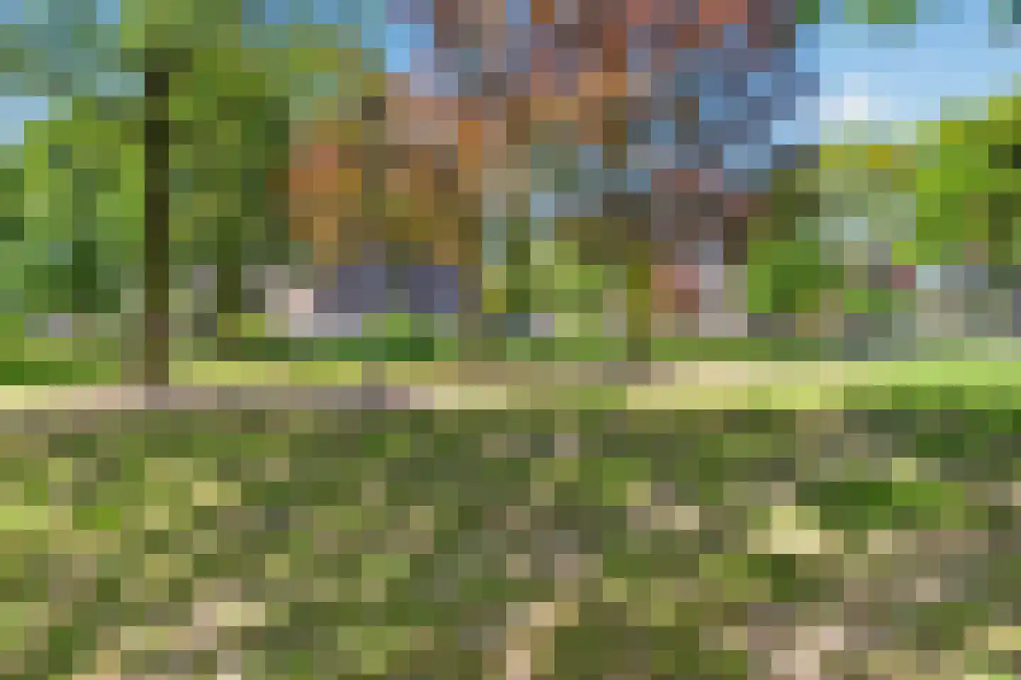 van Herlaerhof 51 Valkenswaard thumbnail 52