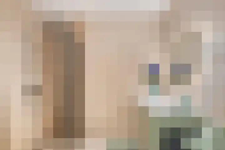 van Herlaerhof 91 Valkenswaard thumbnail 4
