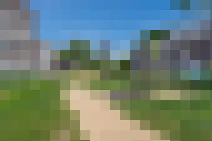 van Herlaerhof 91 Valkenswaard thumbnail 6