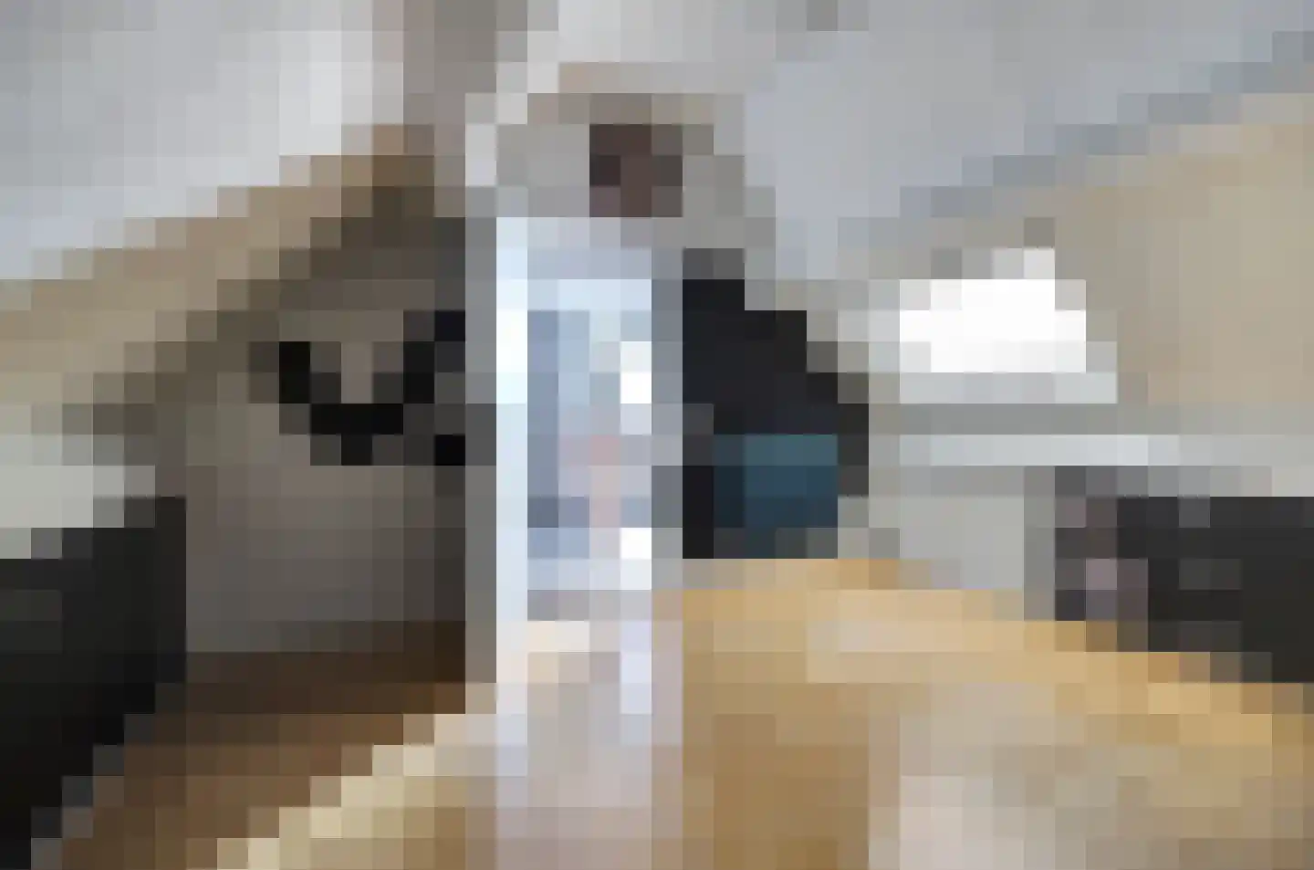 Van Herlaerstraat 12 Vlijmen thumbnail 18