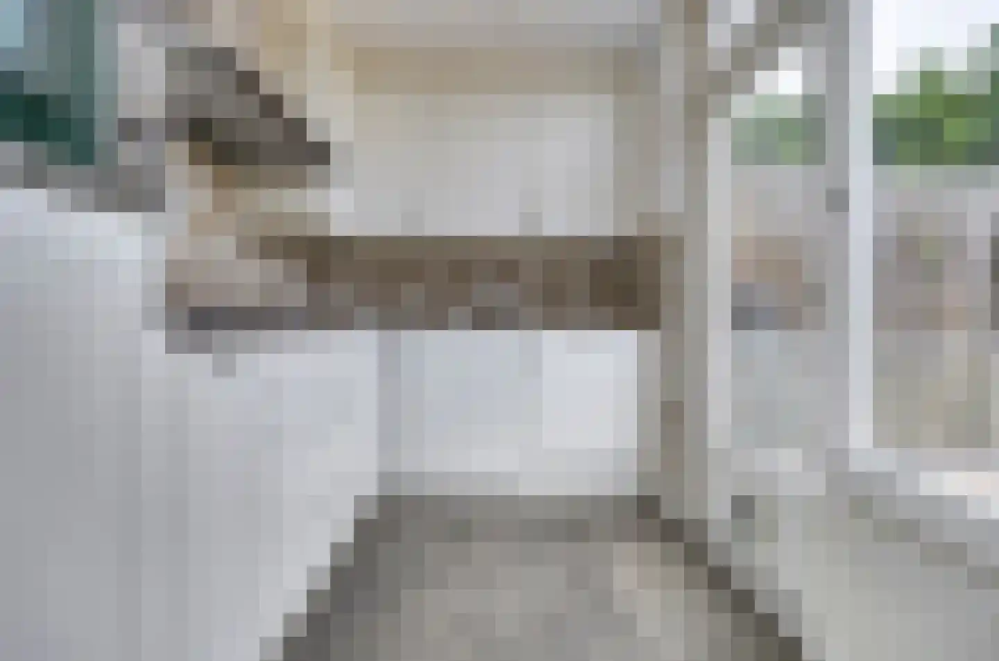 Van Herlaerstraat 12 Vlijmen thumbnail 7