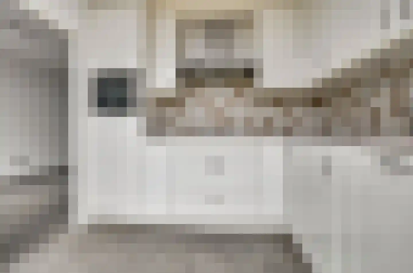 Van Herlaerstraat 12 Vlijmen thumbnail 8