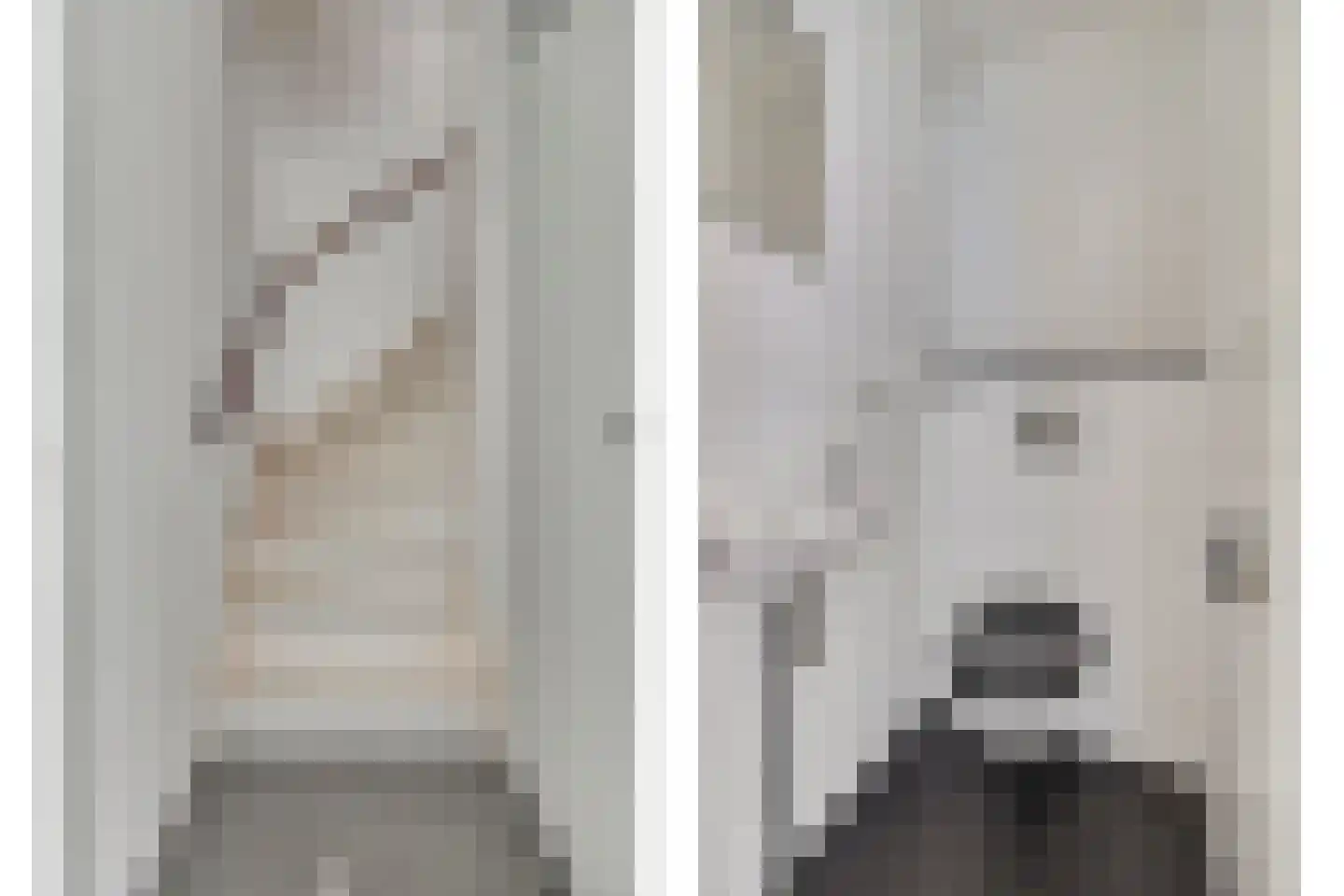 Van Herlaerstraat 12 Vlijmen thumbnail 9