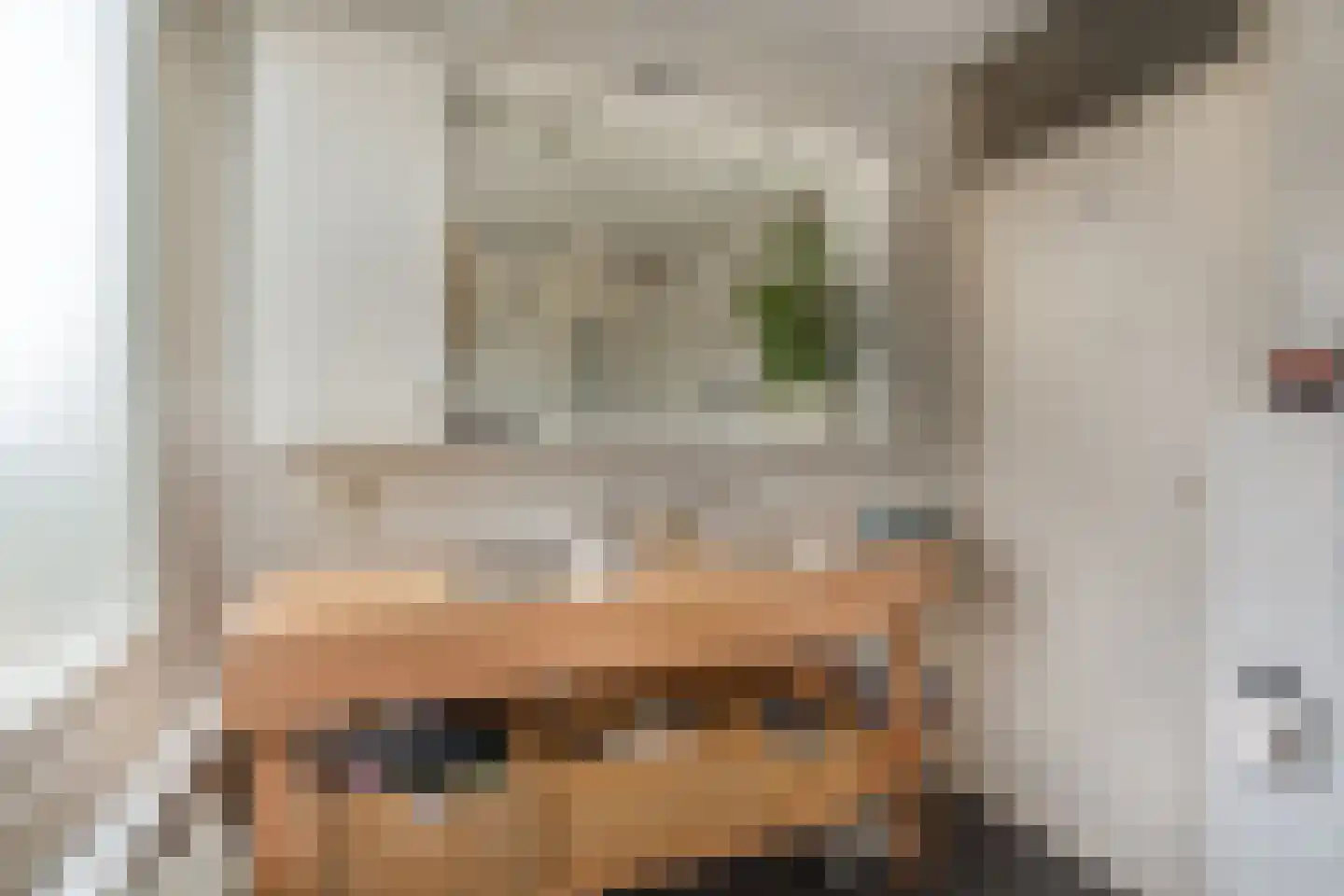 Van Herlaerstraat 18 Ammerzoden thumbnail 14