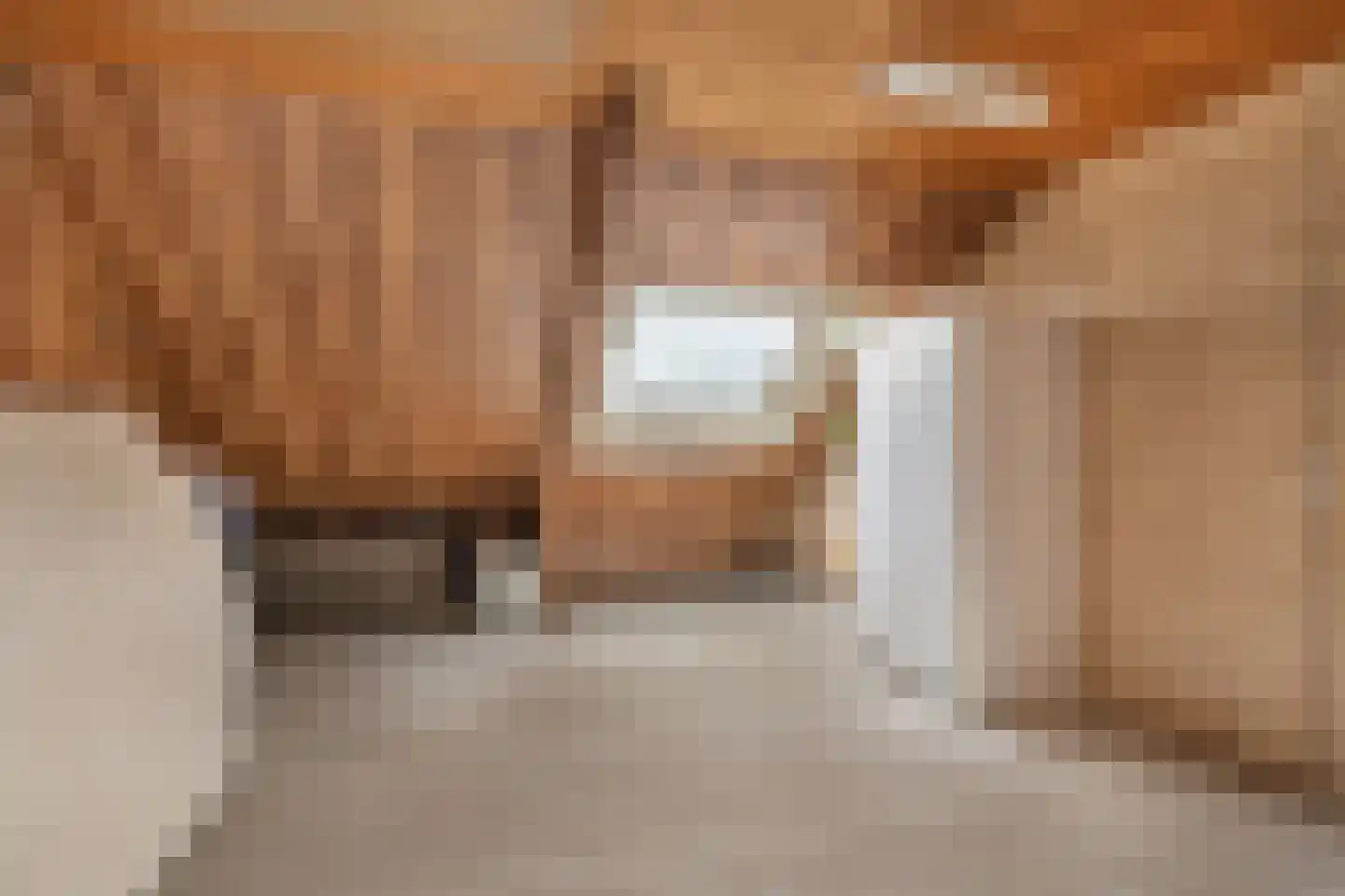Van Herlaerstraat 18 Ammerzoden thumbnail 20