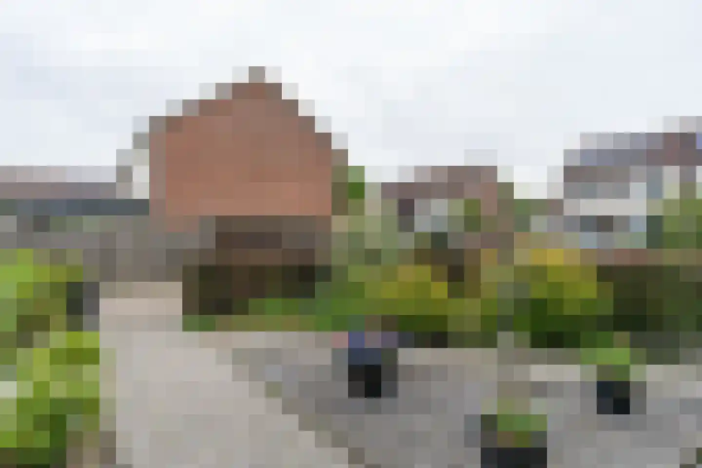 Van Herlaerstraat 18 Ammerzoden thumbnail 22