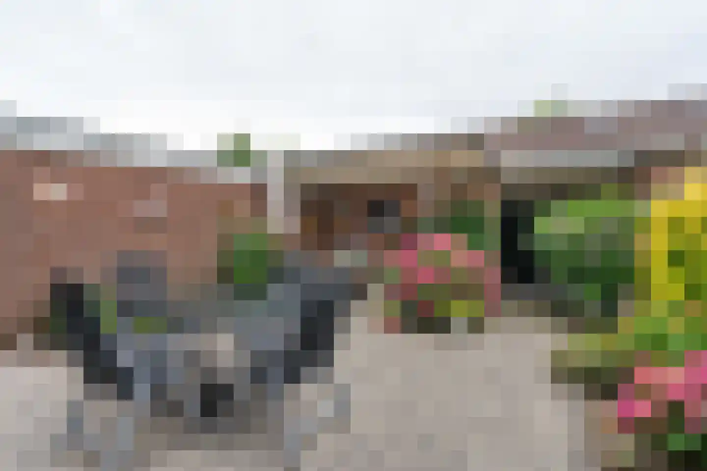 Van Herlaerstraat 18 Ammerzoden thumbnail 27