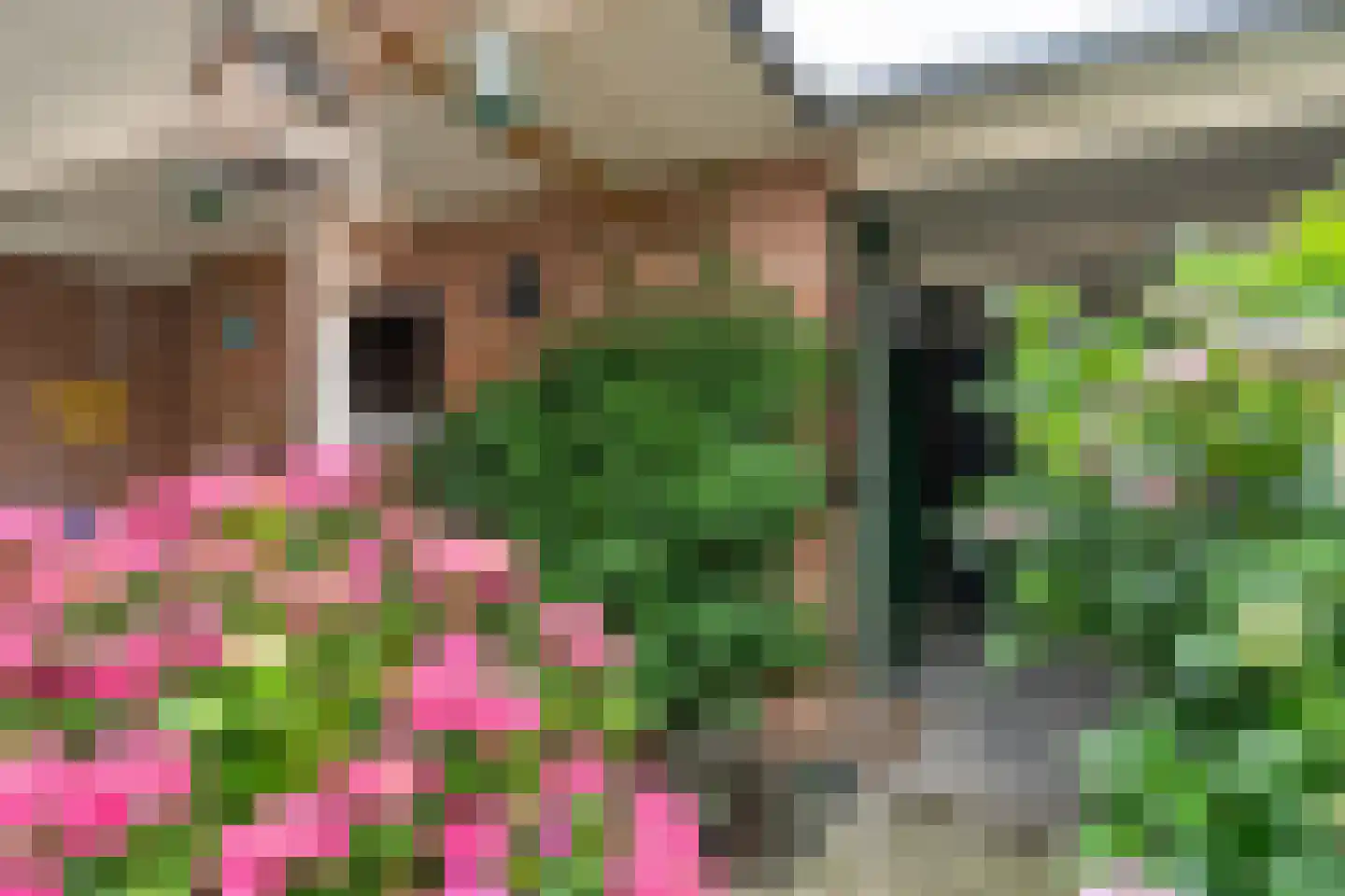 Van Herlaerstraat 18 Ammerzoden thumbnail 28