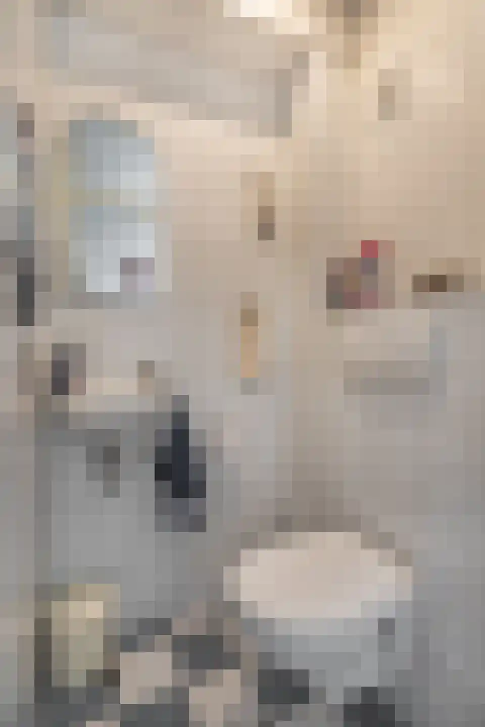 Van Herlaerstraat 18 Ammerzoden thumbnail 7