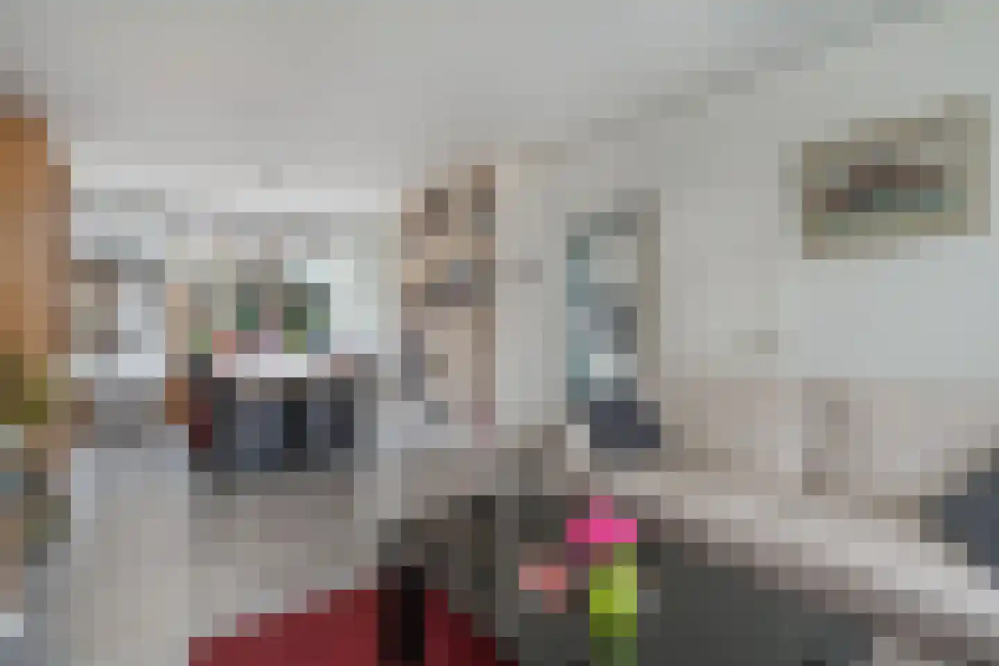 Van Herlaerstraat 18 Ammerzoden thumbnail 8