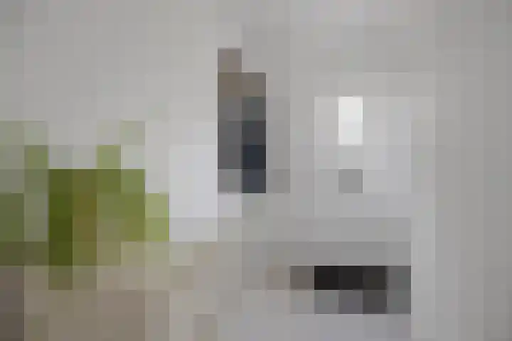 van Herlaerstraat 23 Sint-Michielsgestel thumbnail 5