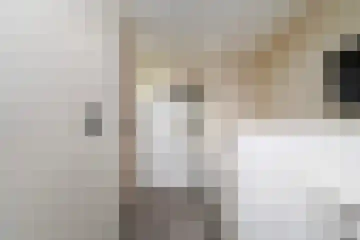 van Herlaerstraat 43 Sint-Michielsgestel thumbnail 32