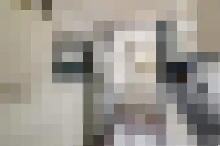 Van Herlaerstraat 6 Ammerzoden thumbnail 10