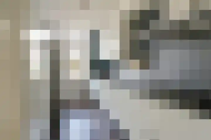 Van Herlaerstraat 6 Ammerzoden thumbnail 11